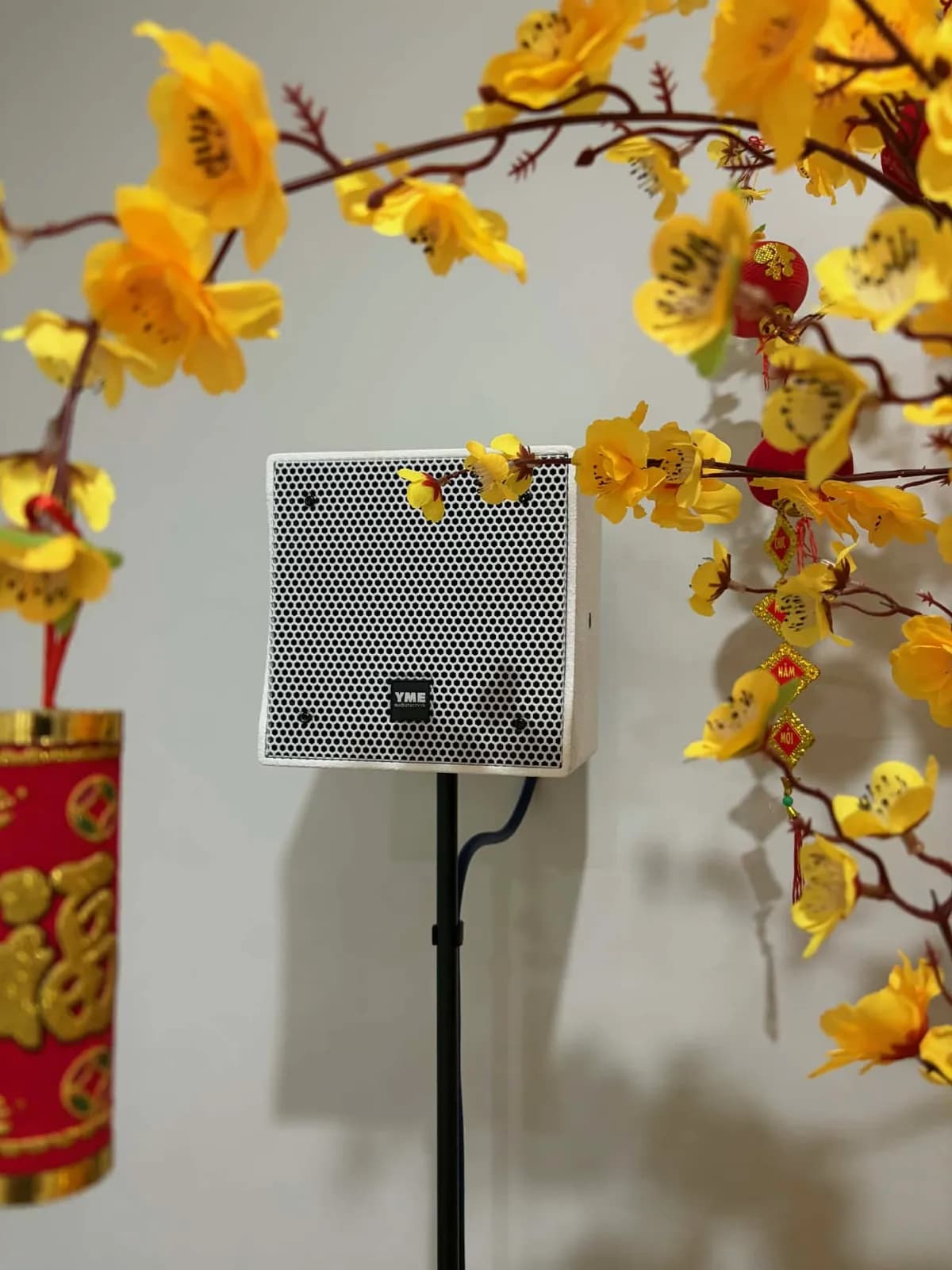 Loa treo tường trên chân đế cố định, lắp đặt tại không gian sinh hoạt chung của một gia đình.